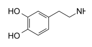 Seks, aardbeien, ontspanning: de oplossing voor een dopamine tekort