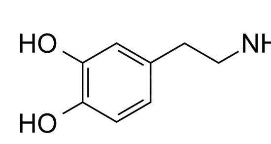dopamine-tekort-02