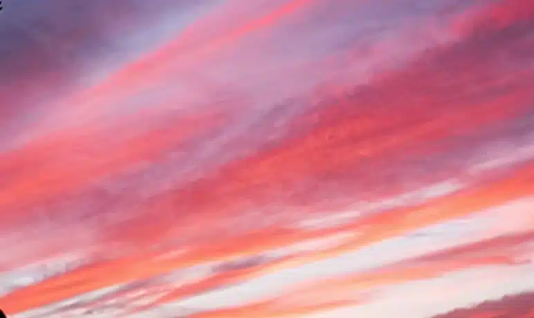 intrinsieke motivatie