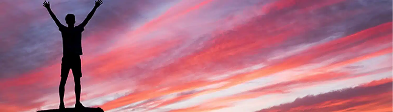 intrinsieke motivatie