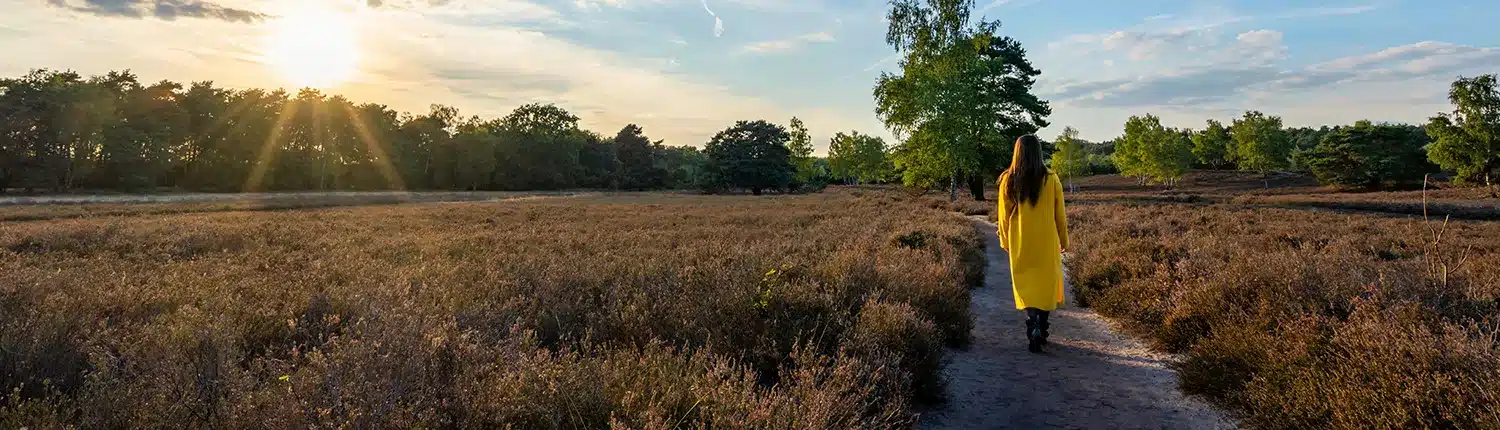 Wandelen