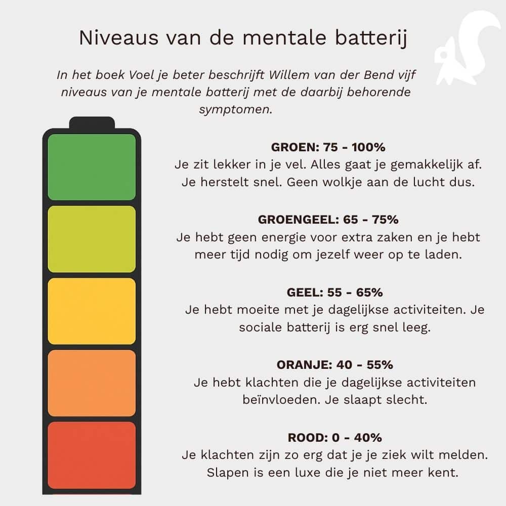 niveaus mentale batterij