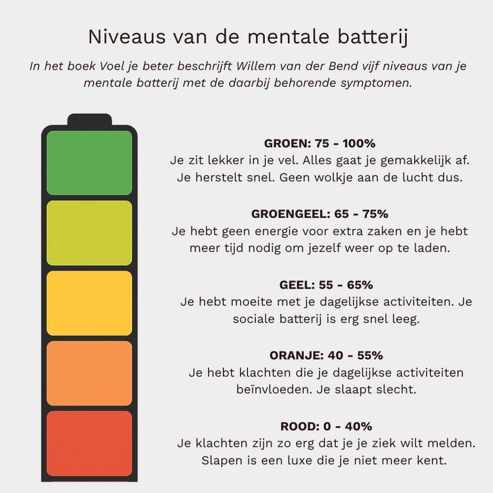 niveaus mentale batterij