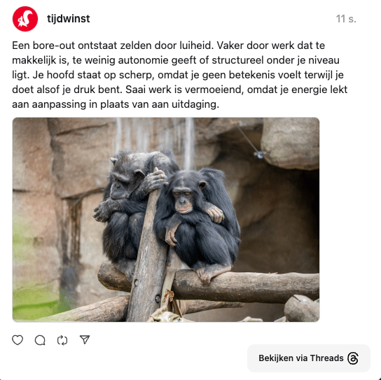 post over bore out oorzaken op threads van tijdwinst.com